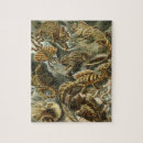 Search for lizard puzzles Iguanas