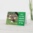 Recherche de photographer anniversaire cartes Chien