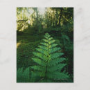 Search for generic vertical postcards Outdoors