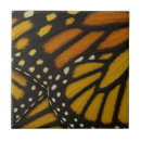 Search for butterfly tiles Nature