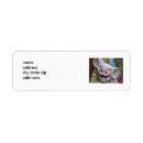Search for piggy return address labels Hog