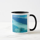 Search for queensland mugs Tourism