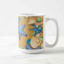 Search for beach shells mugs Nature
