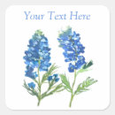 Search for texas blues stickers Floral