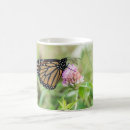 Recherche de ambiante tasses Nature