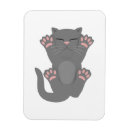 Search for sleeping cat magnets Kawaii