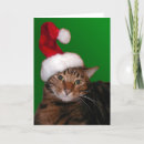 Search for bengal christmas cards Santa