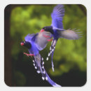 Search for purple bird stickers Garden