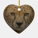 Recherche de guépard ornements Chat