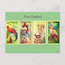 Search for new zealand birds postcards Vintage