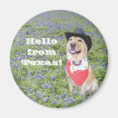Search for texas souvenirs magnets San antonio
