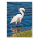 Recherche de neigeux posters Animaux