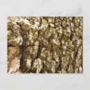 Search for trees design postcards Nature