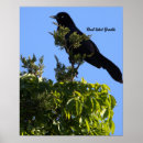 Search for boat posters Nature