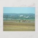 Recherche de saison 4 cartes postales Printemps