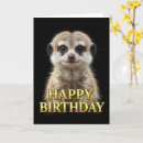 Search for meerkat birthday cards Cute