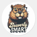 Search for smart stickers Cute