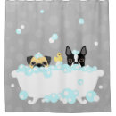 Search for boston terrier shower curtains Pug