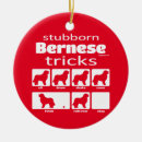 Search for funny mom ornaments Dad