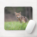 Search for pose mousepads Brown