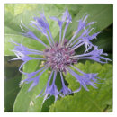 Search for cornflower blue tiles Floral