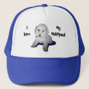 Search for poodle puppy hats Animal