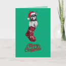 Search for siberian husky christmas cards Santa