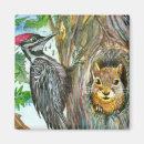 Recherche de pic magnets Animal