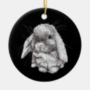 Search for ear ornaments Bunny