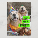 Recherche de golden birthday invitations Récupérateur d'or