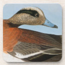 Search for john audubon coasters Duck