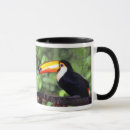 Search for rain bird mugs Toucan