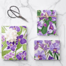 Search for flora wrapping paper Colorful