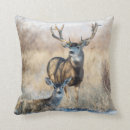 Search for larry pillows Buck