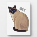 Recherche de yeux plaques Animal