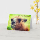 Search for get angry cards Cute