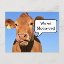 Search for cow moving announcement cards We have moved