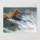 Search for brook postcards Salmon