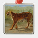 Search for bengal cat ornaments Tiger