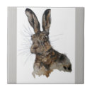 Search for hare tiles Nature