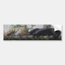 Recherche de léopard voiture autocollants Animaux