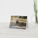 Search for american bison cards Wyoming