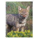 Search for del notebooks Nature