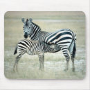 Search for feed standard mousepads Wildlife