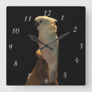 Recherche de coccinelles horloges Adorable