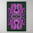 Recherche de asters posters Nature