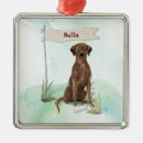 Search for chocolate lab ornaments Labrador retriever