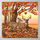Search for deer hunting posters White tailed deer