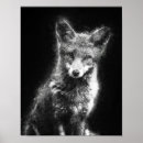 Search for black fox art Wildlife