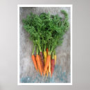 Recherche de de carottes posters Orange